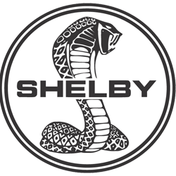 shelby1
