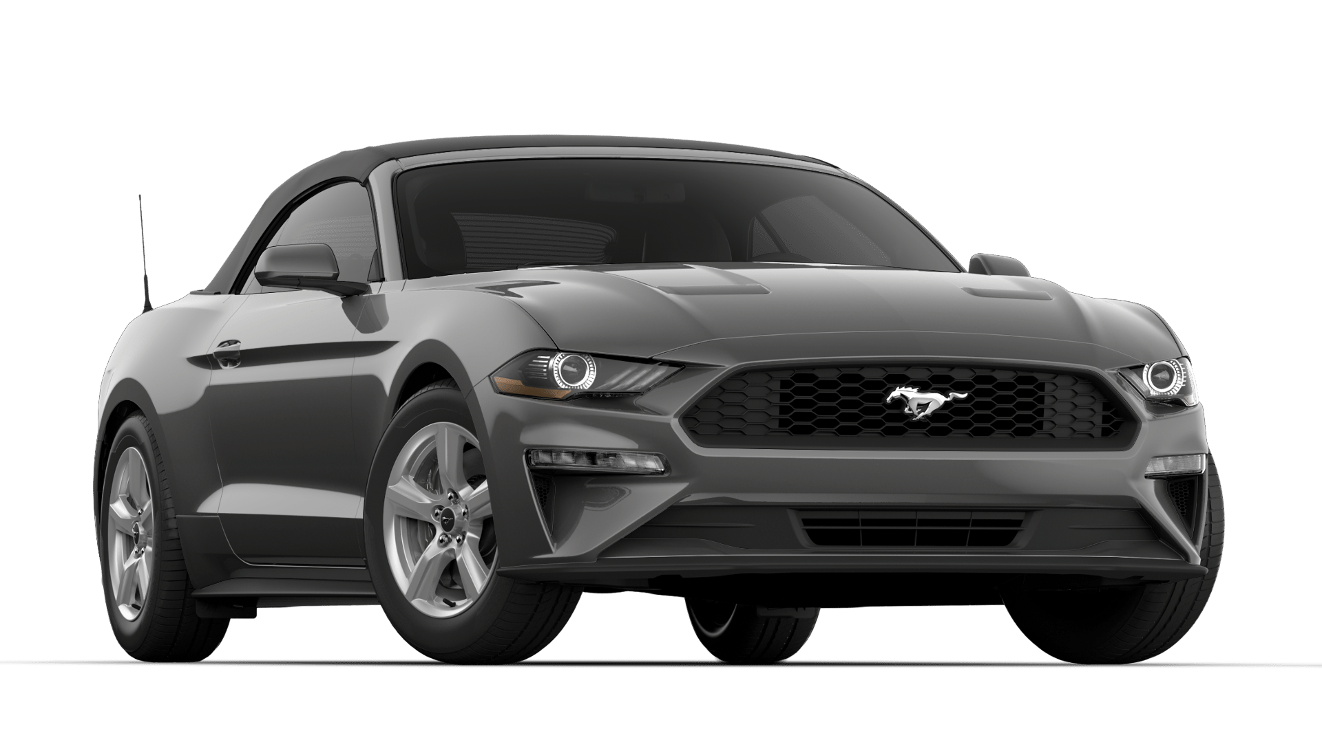 Mustang Ecoboost convertible Magnetic