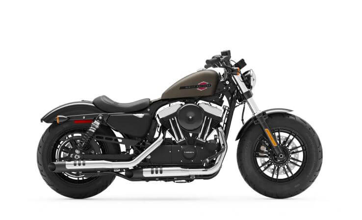Harley-Davidson Forty-Eight™ River Rock Gray Denim